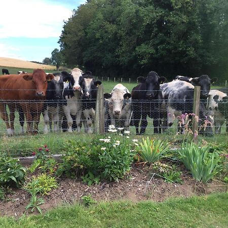Retreat At The Knowe Auchincruive Estate Bed & Breakfast Ayr Eksteriør bilde