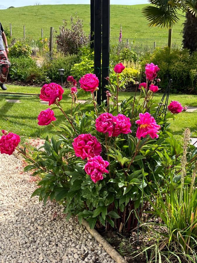 Retreat At The Knowe Auchincruive Estate Bed & Breakfast Ayr Eksteriør bilde