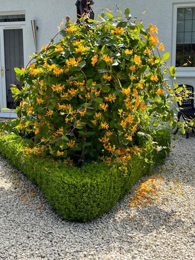 Retreat At The Knowe Auchincruive Estate Bed & Breakfast Ayr Eksteriør bilde