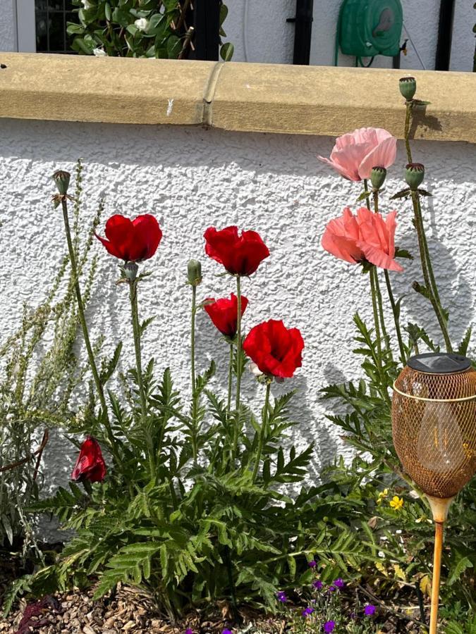 Retreat At The Knowe Auchincruive Estate Bed & Breakfast Ayr Eksteriør bilde