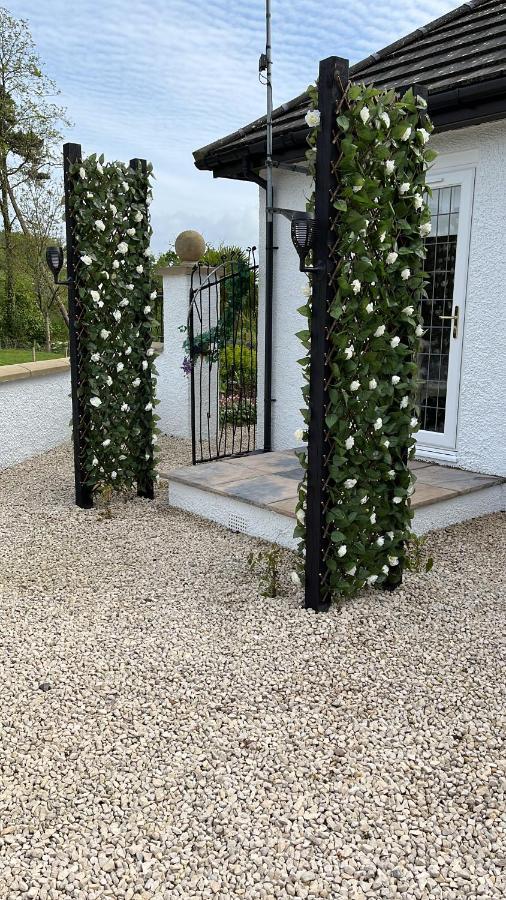 Retreat At The Knowe Auchincruive Estate Bed & Breakfast Ayr Eksteriør bilde