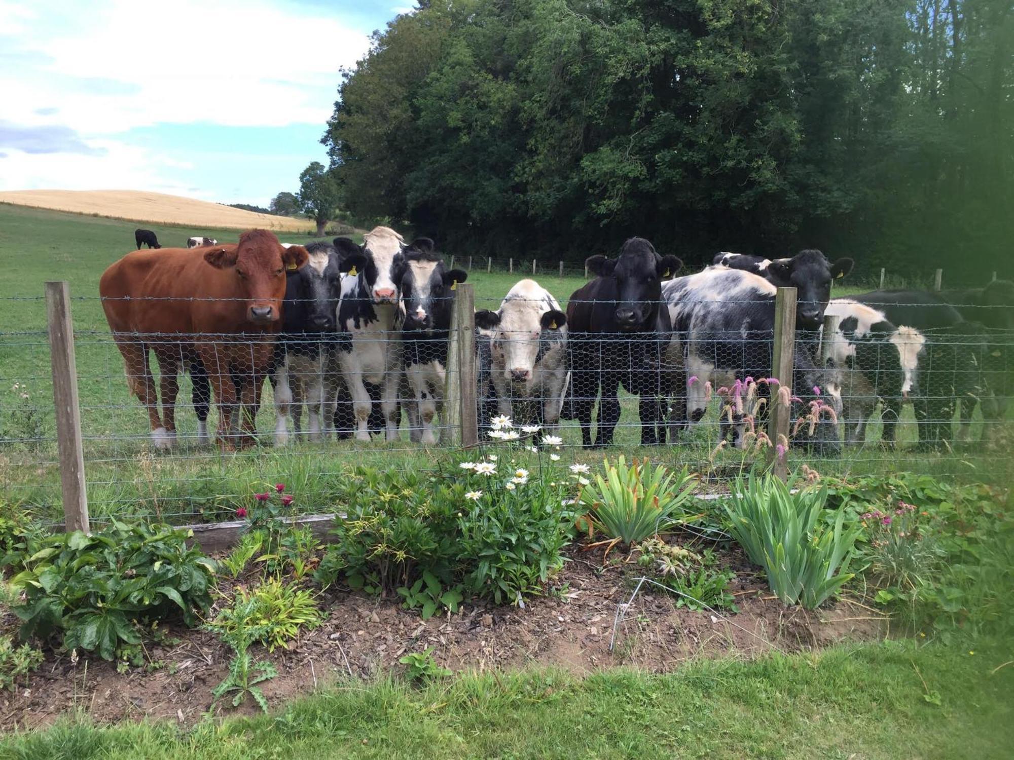 Retreat At The Knowe Auchincruive Estate Bed & Breakfast Ayr Eksteriør bilde