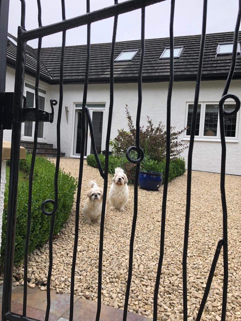 Retreat At The Knowe Auchincruive Estate Bed & Breakfast Ayr Eksteriør bilde