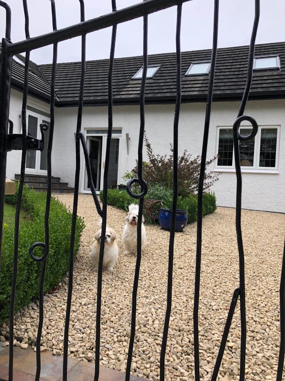 Retreat At The Knowe Auchincruive Estate Bed & Breakfast Ayr Eksteriør bilde
