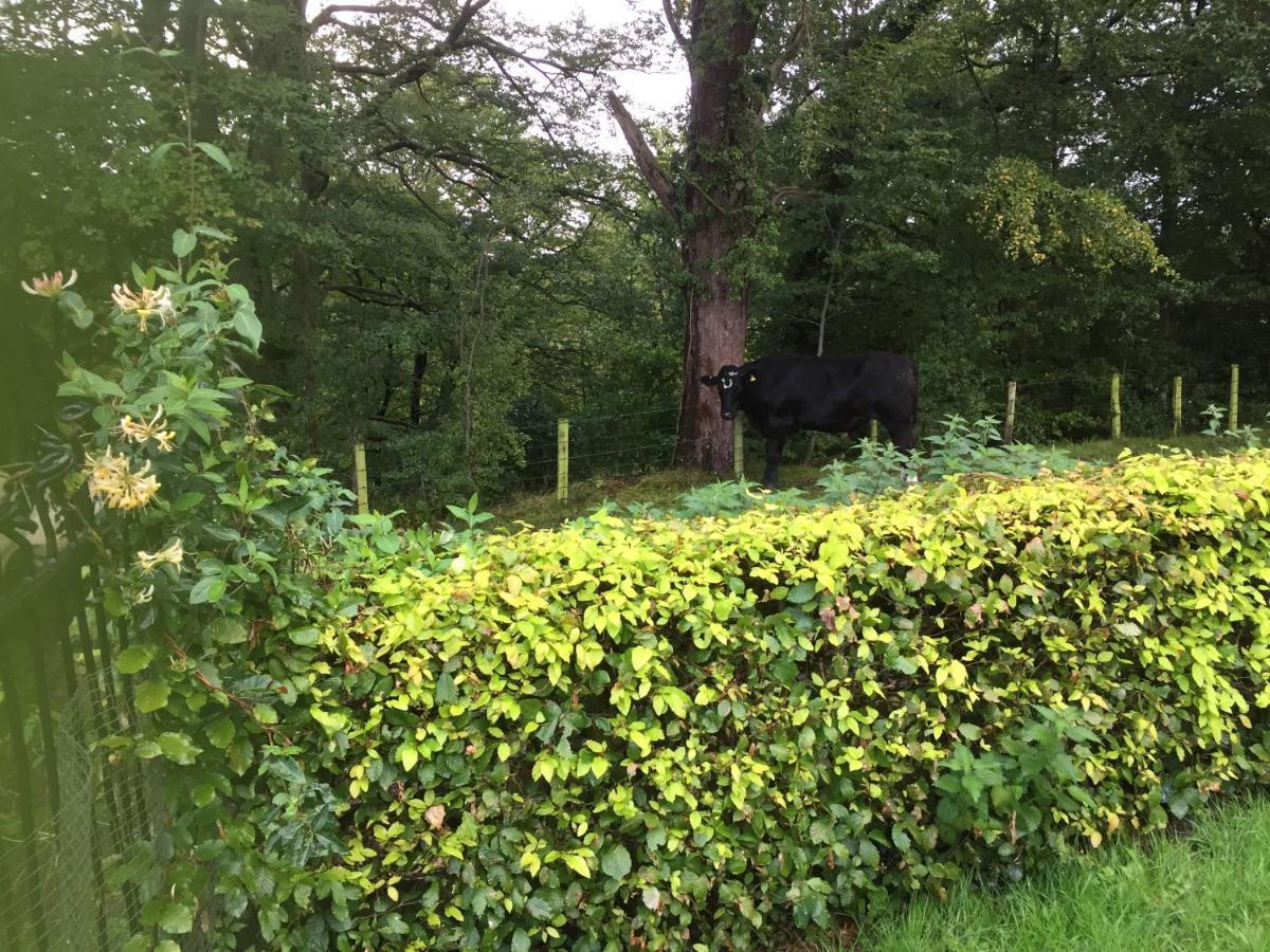 Retreat At The Knowe Auchincruive Estate Bed & Breakfast Ayr Eksteriør bilde