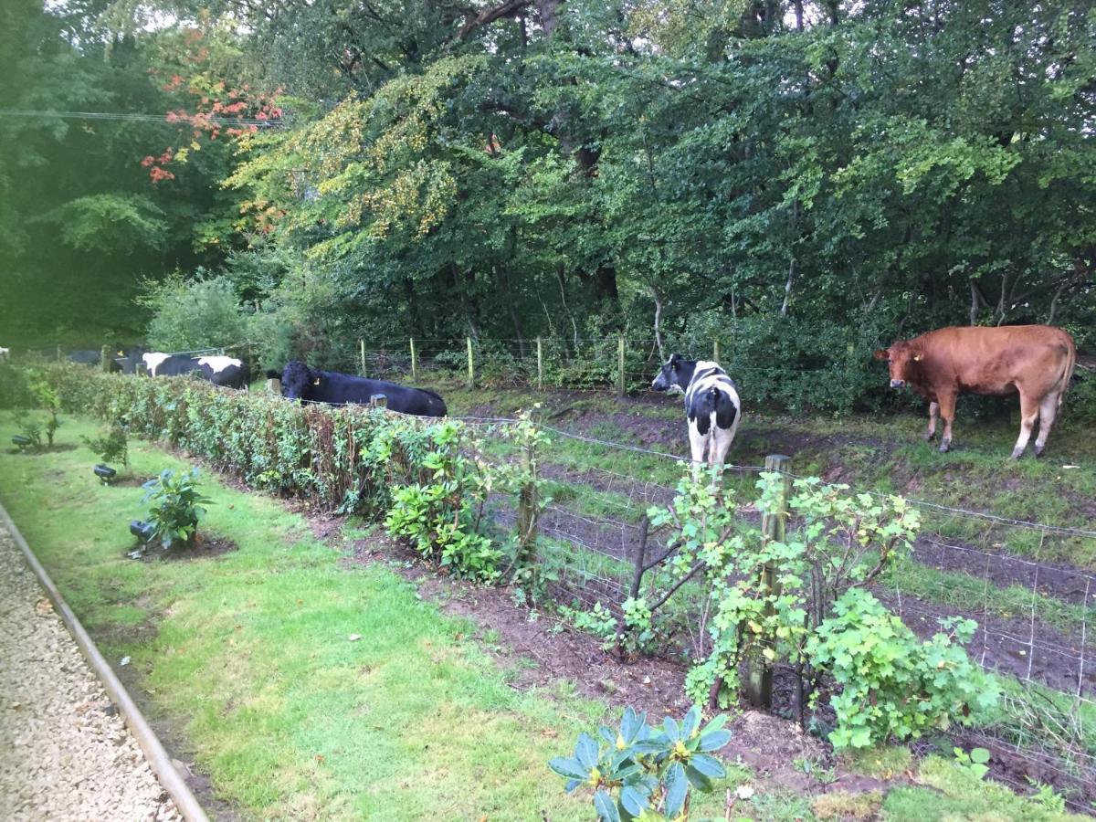 Retreat At The Knowe Auchincruive Estate Bed & Breakfast Ayr Eksteriør bilde